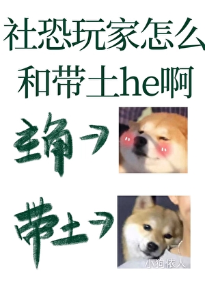 社恐玩家怎么和带土he啊[火影]