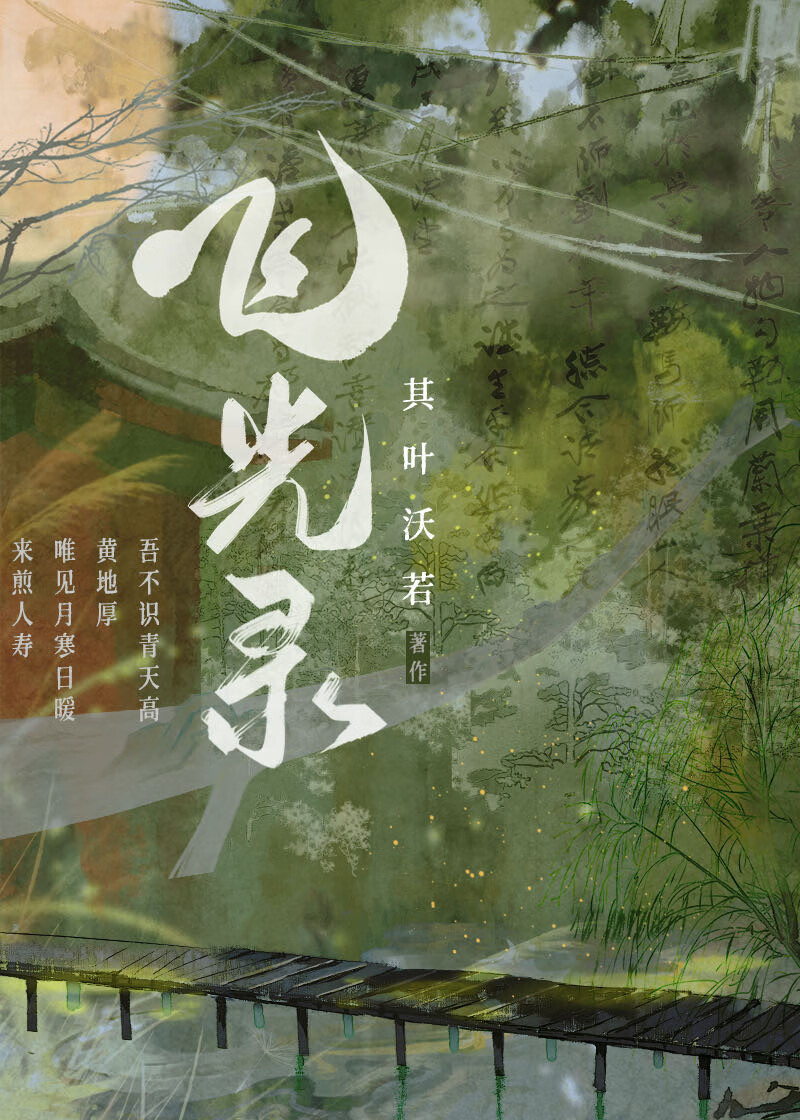 飞光录小说