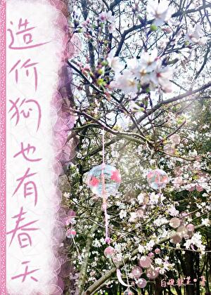 造价狗也有春天