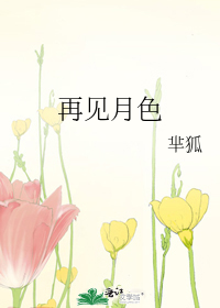 再见月色