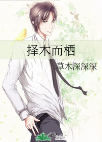 良鸟择木而栖