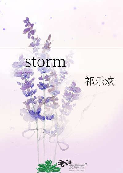 storm怎么读