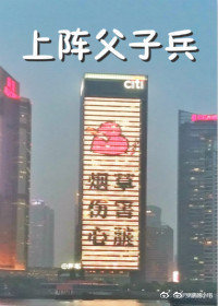 全职高手车h