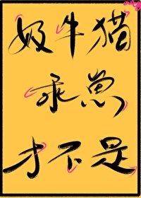 爬了对家的猫爬架小说