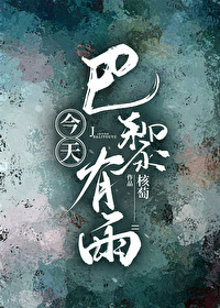 今天巴黎有雨百度网盘资源