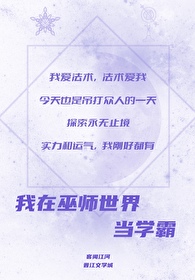 我在巫师世界当学霸TXT下载