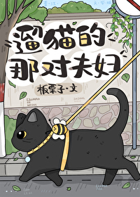 遛猫的那对夫妇笔趣阁