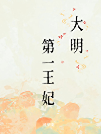 大明王妃小说