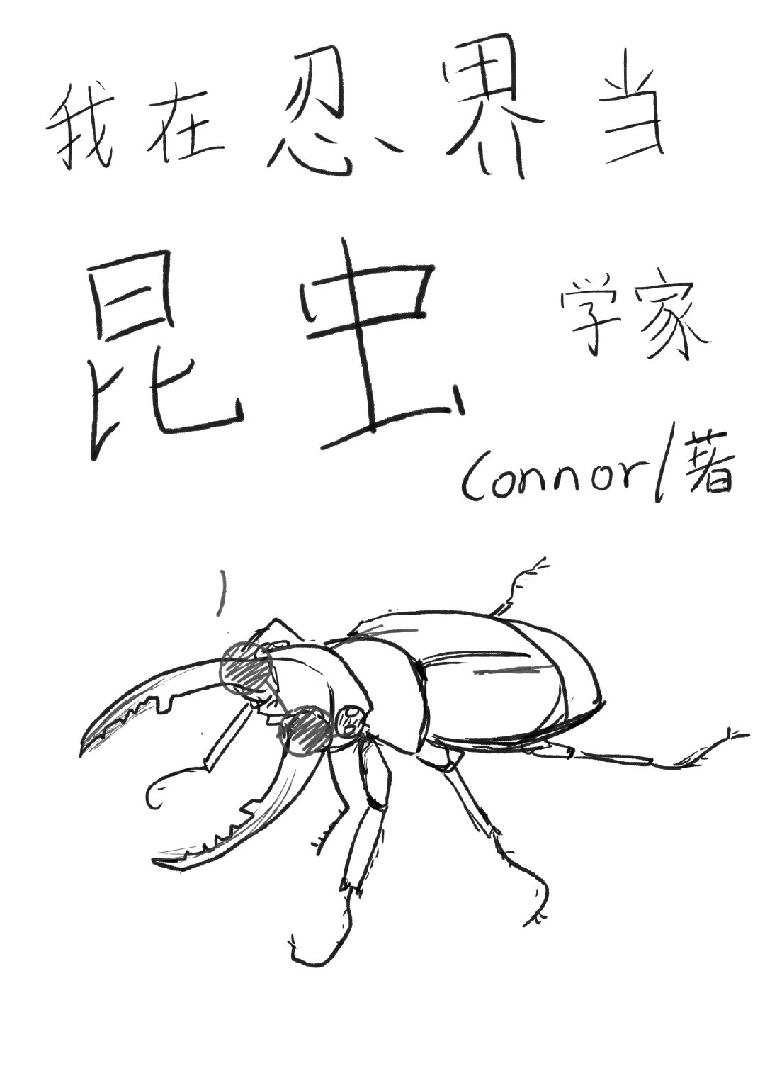我在忍界开秘境