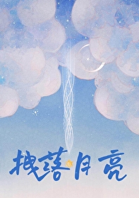 拽落月亮全文阅读