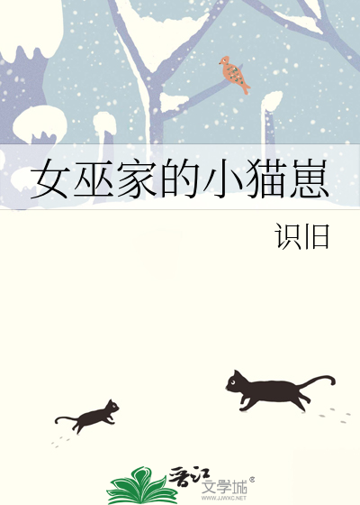 女巫的猫晋江