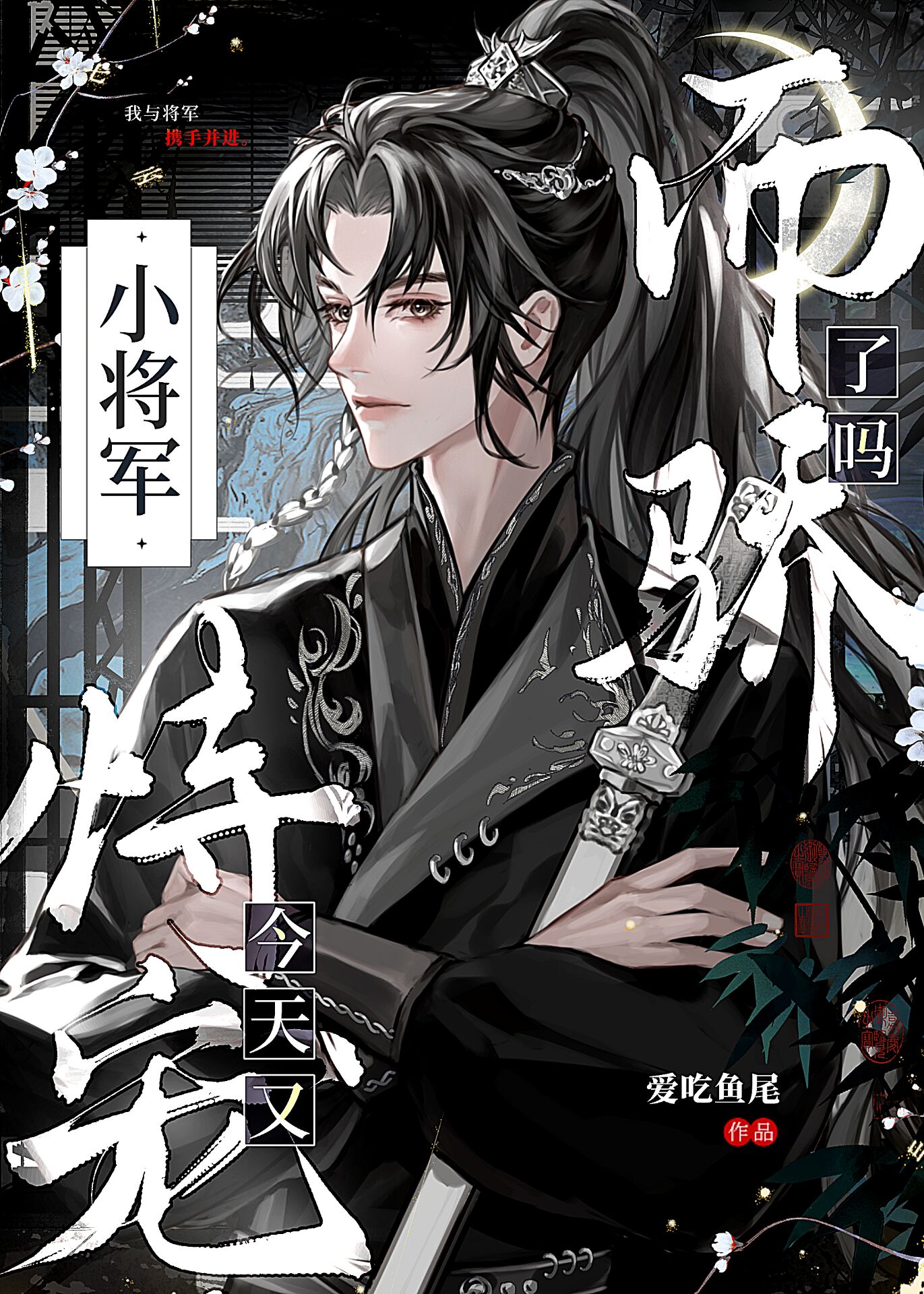 小将军 小说