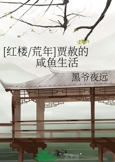 有关贾赦的小说