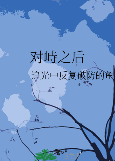 对峙之后纪录片