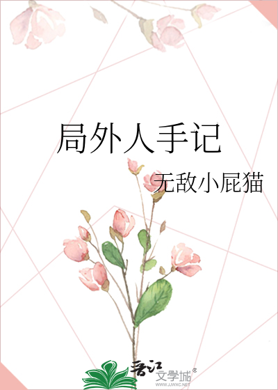 局外人讲解