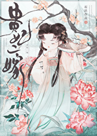 贵妃二嫁全文免费