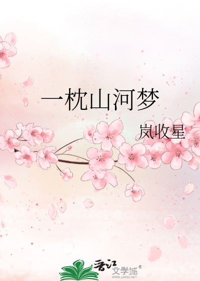 一枕山河讲的啥