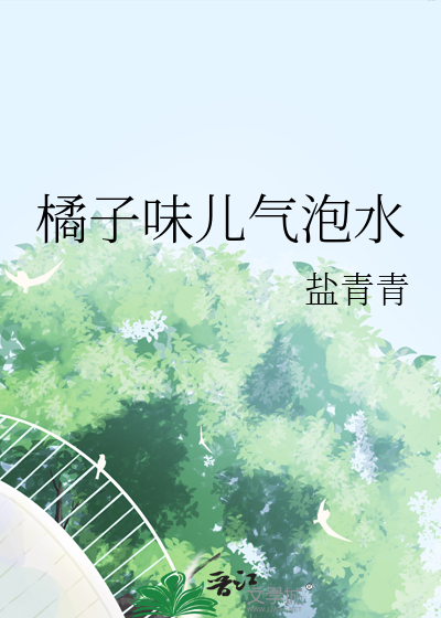 橘子味汽水有什么