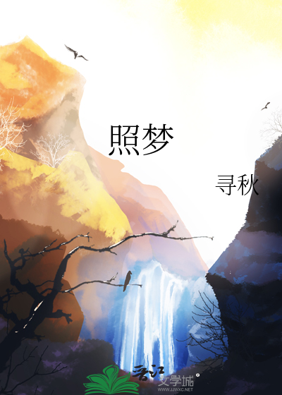 照梦者