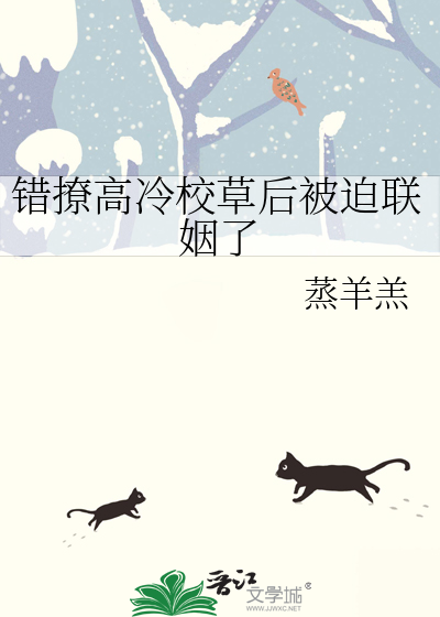 错撩高冷校草小说