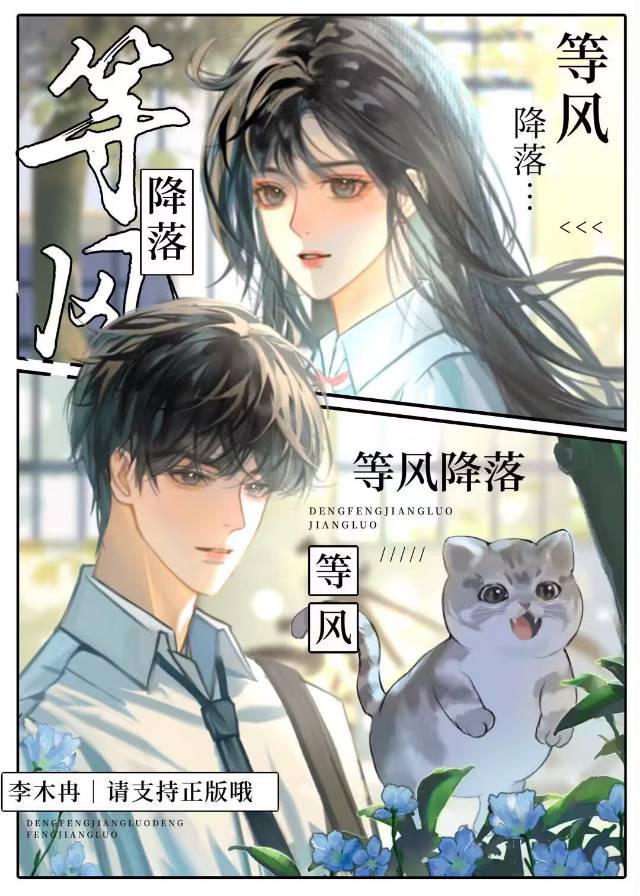 等风降落橙宋