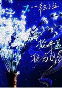 撬井盖是什么意思