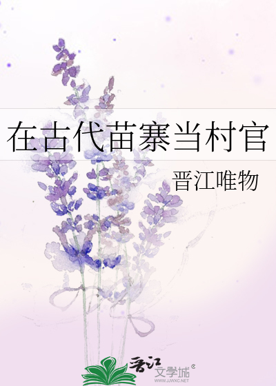 苗寨村落