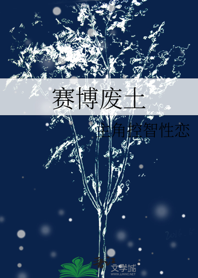 赛博废土风格的小说