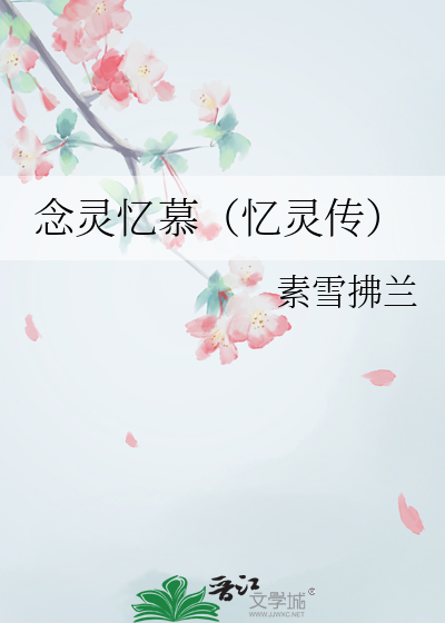 忆念小说