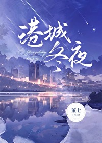 港城冬夜小说