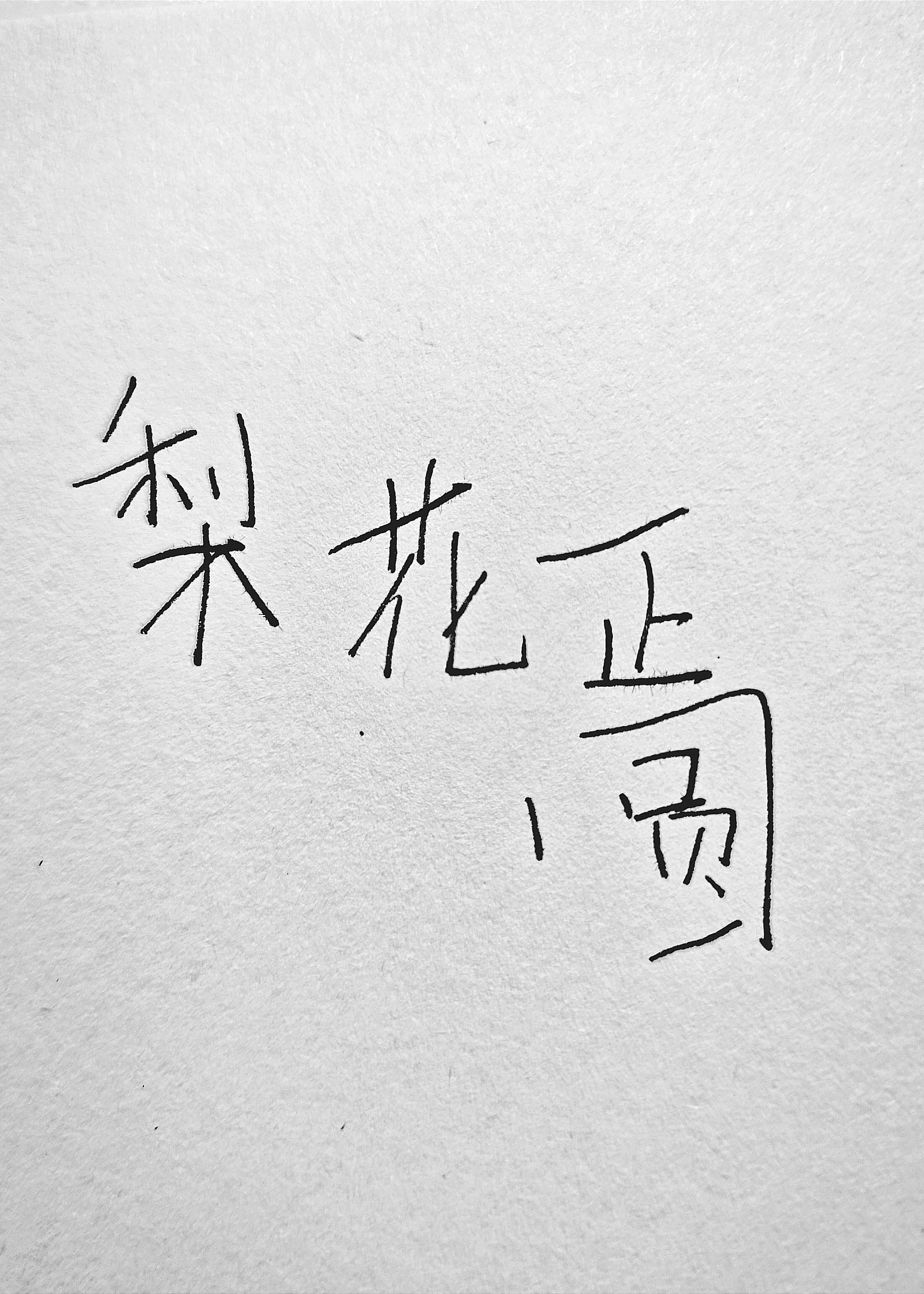 梨花正圆51章