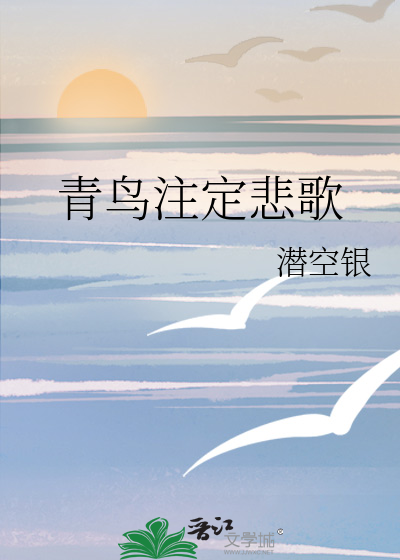 青鸟歌词含义