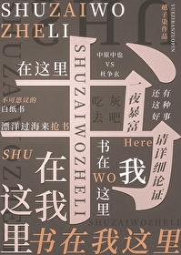 书在我这里文野