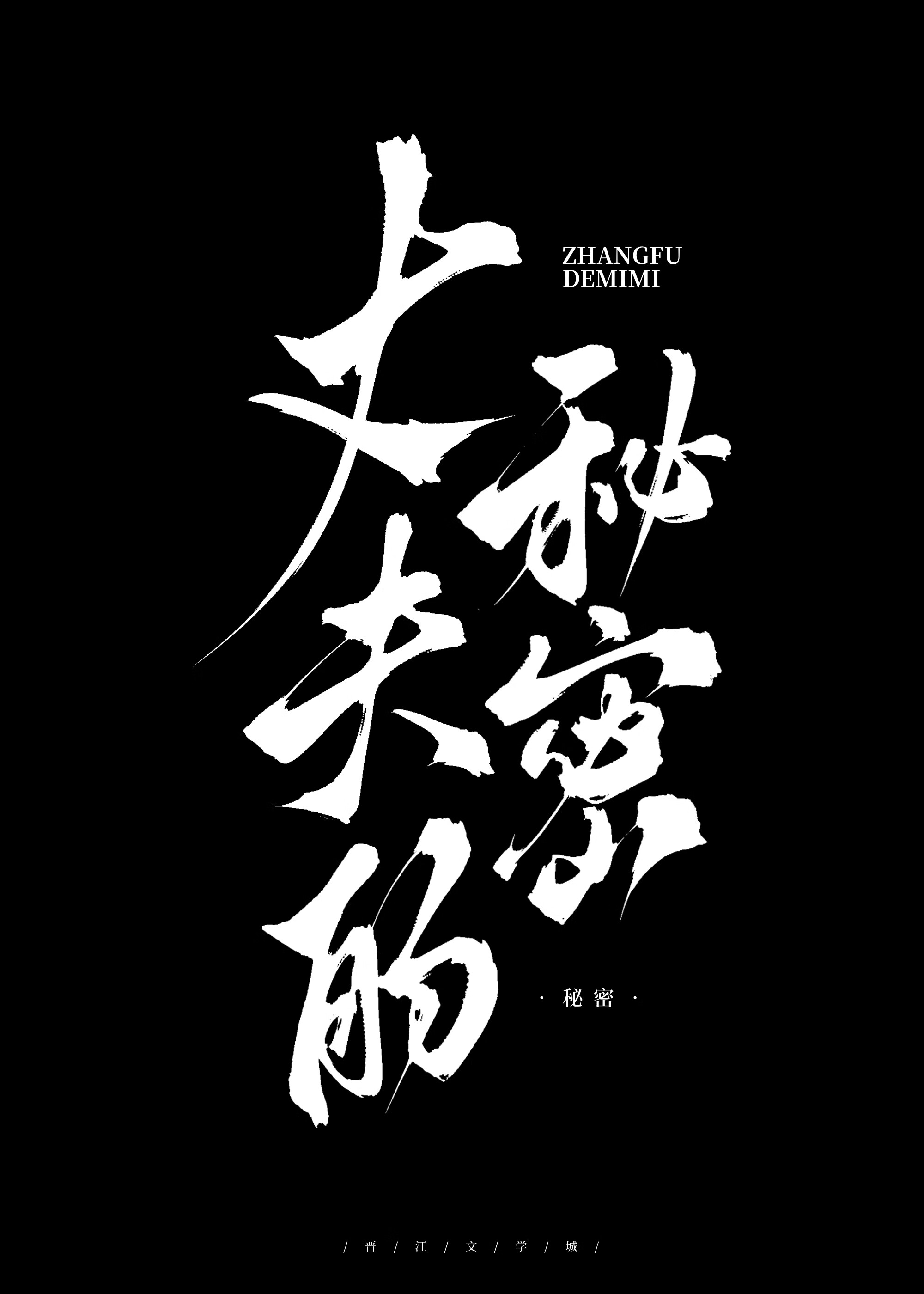 丈夫的秘密电视剧分集剧情介绍
