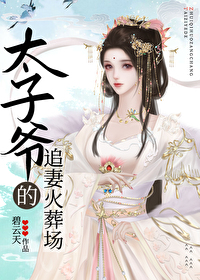 太子爷的追妻火葬场TXT