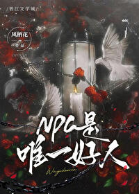 npc是谁