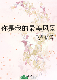 你是我的最美风景线dj原唱视频