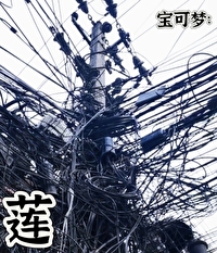 宝可梦莲帽小童进化