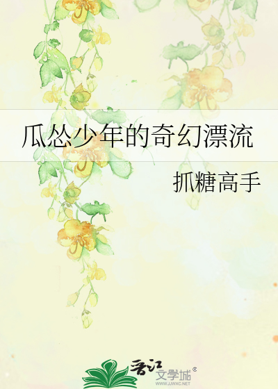 少年他的奇幻漂流