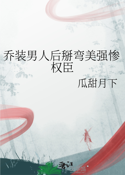 乔装全文阅读txt