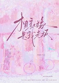 相亲对象是我老板小说