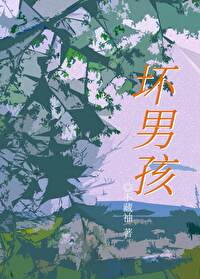 坏男孩百科