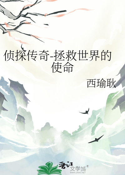 侦探dsc