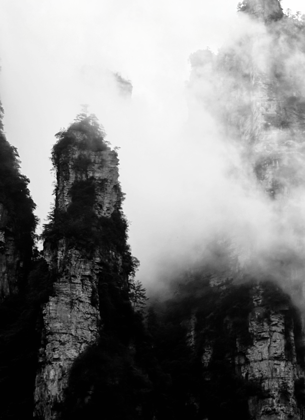 绿茶皇后小说