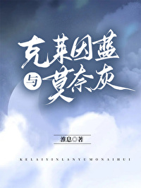 克莱因蓝与莫奈灰