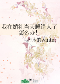 飞鸿祚雪小说酒染山青