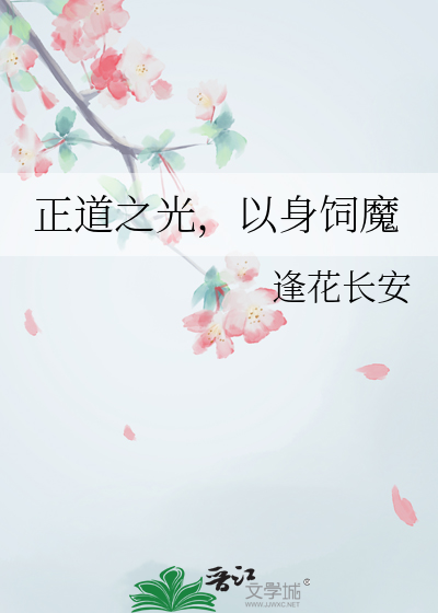正道的光意思